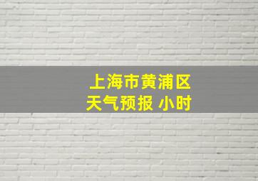 上海市黄浦区天气预报 小时